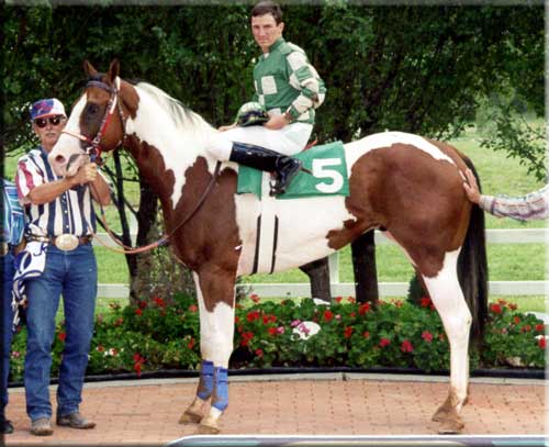 My Indian Money winning a trails race at Ruidoso Downs
