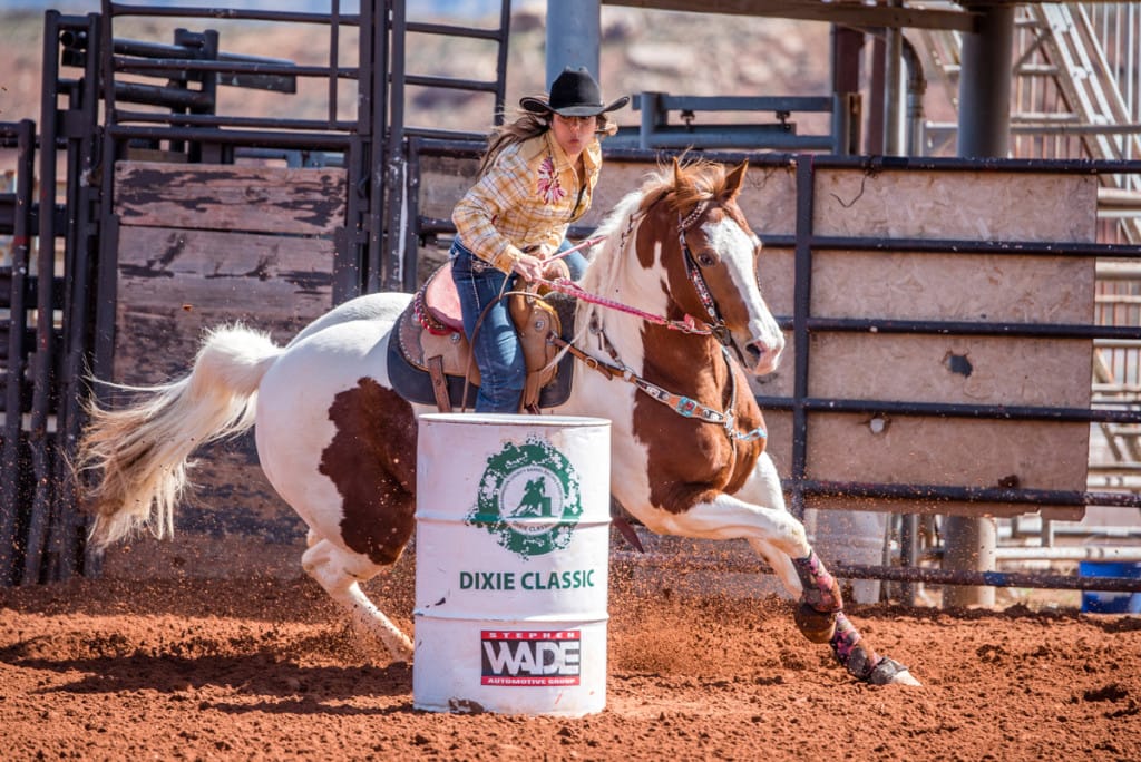 Paint barrel racing horse by Aus Ranch stallion My Indian Money