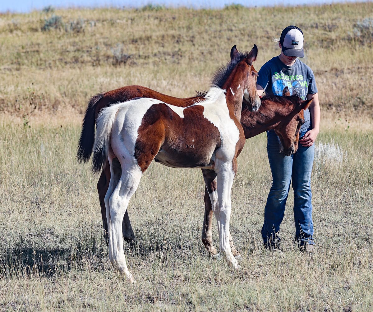 He's thinking pretty hard about getting a scratch . . . 
