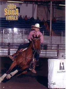 Paint barrel horse